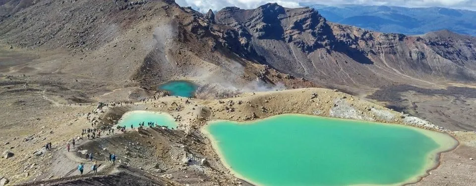 トンガリロアルパインクロッシングトレッキング