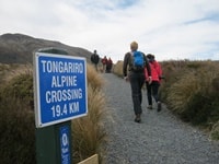 トンガリロ・アルパイン・クロッシングマンガテポポ出発点