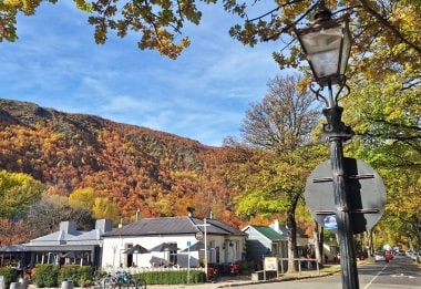 アロータウンの黄葉