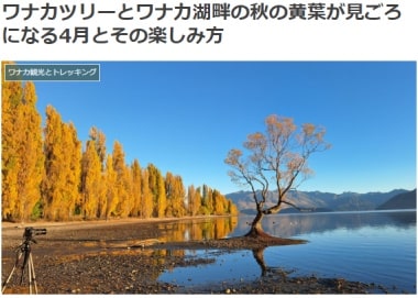 ワナカツリーとワナカ湖畔の秋の黄葉が見ごろになる4月とその楽しみ方ブログ