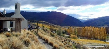 ワイナリ－レストラン