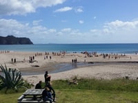 ホット・ウォーター・ビーチ