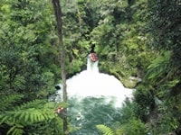 オケレフォールス