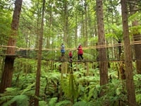 レッドウッド・ツリーウォーク