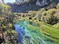 ブルー・スプリングスTe Waihou Walkway