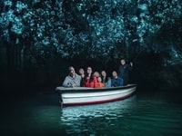 ワイトモ土ボタル洞窟