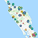 NZ北島カウリコーストとノースランド周遊