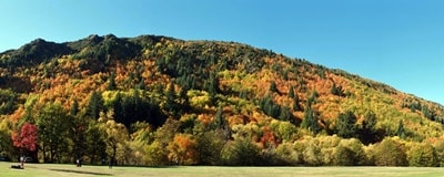 アロータウンの黄葉17年4月