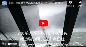 ミルフォードサウンドが大雨、強風の時の絶景ユーチューブビデオ