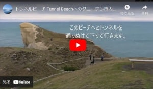 ダニーデン市内からトンネルビーチへの行き方とウォーキングユーチューブビデオ