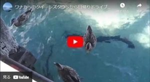 クイーンズタウン発着ワナカへの日帰り観光ルートユーチューブビデオ